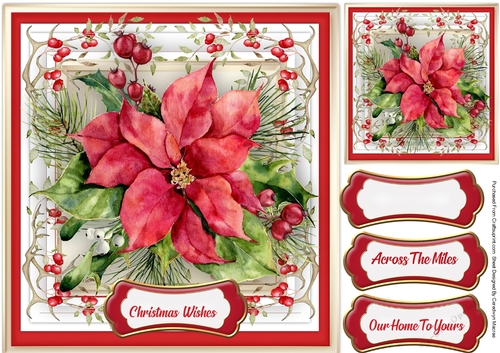 Stunning Poinsettia on holly mat 