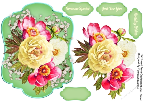 Beautiful Summer Time Roses 2