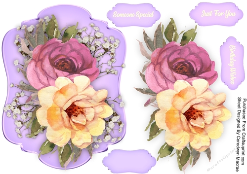 Beautiful Summer Time Roses 3