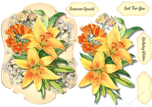 Beautiful Summer Time  Lilys  4