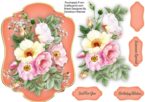 Beautiful Summer Time Roses 6
