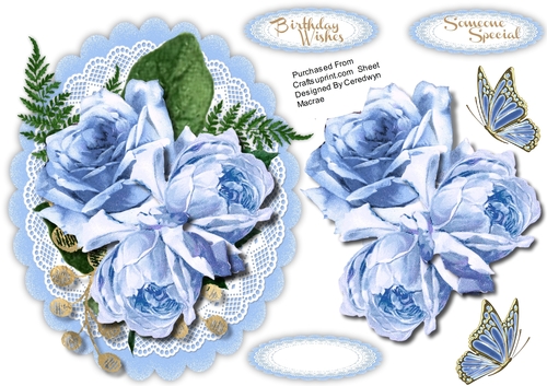 Beautiful Blue Roses on scalloped mat 