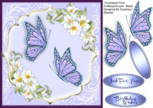 Beautiful Butterflys and Lilys 
