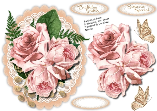Beautiful Pink roses on a Scalloped Mat 