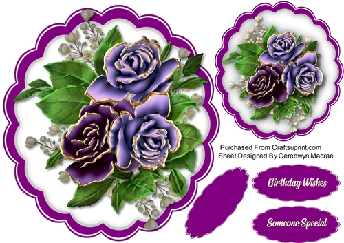 Stunning Lilac Roses 