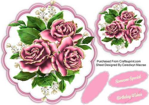 Beautiful Deep Rose Roses 
