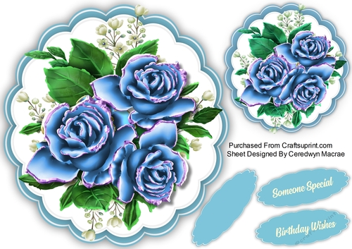 Beautiful Blue Roses 