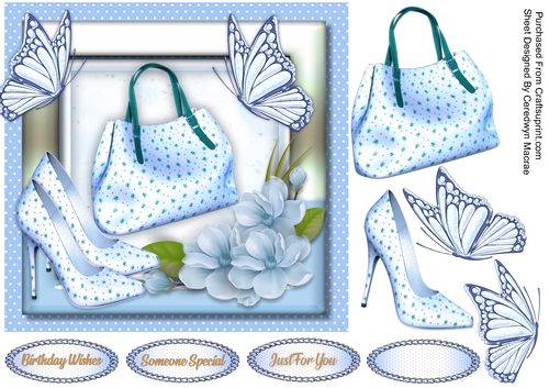Beautiful Blue Ladies Accessories 