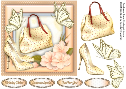 Beautiful Peach Ladies Accessories 