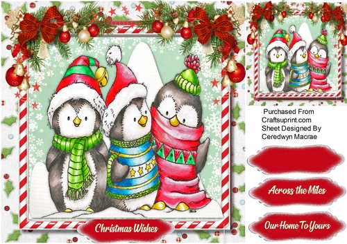 Three Chilly Penguins 