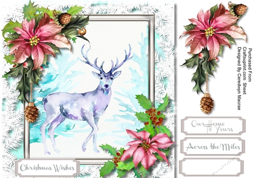 Beautiful Watre Coloured Stag 