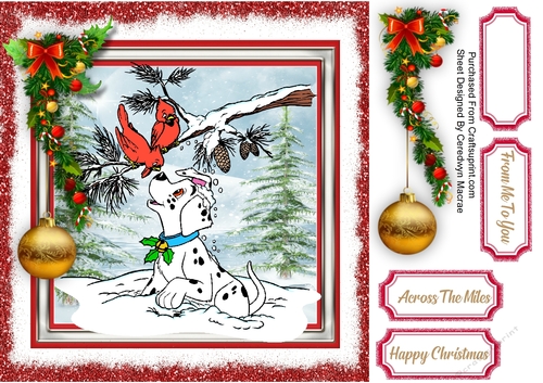 Christmas Dalmation at Play