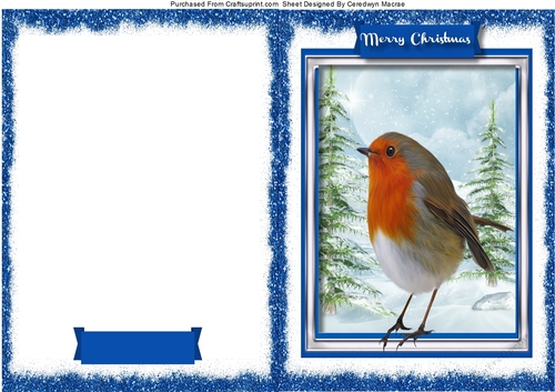 Prin and Fold , Quick Cards 1