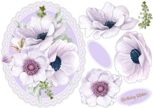 Beautiful Lilac Anemones 