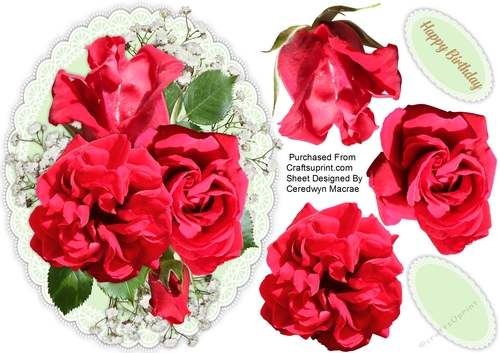 Beautiful Red  Roses 