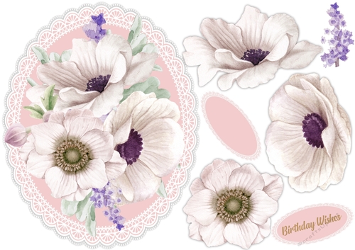 BeautifulWhite Anemones 