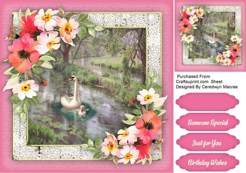 Beautiful Summer Scene 1