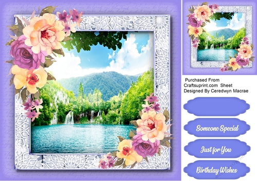 Beautiful Summer Roses and  Scene 2