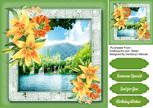 Beautiful Lillies and  Scene  4