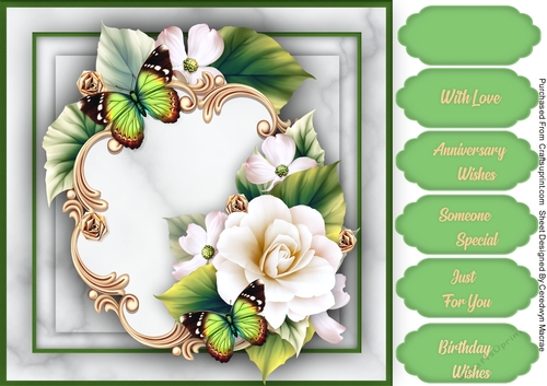 MagnoliasJoy 