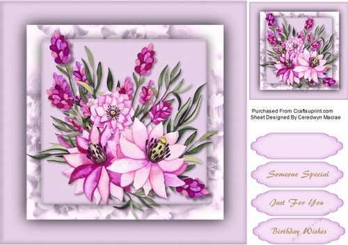 Beautiful Lilac Infusion