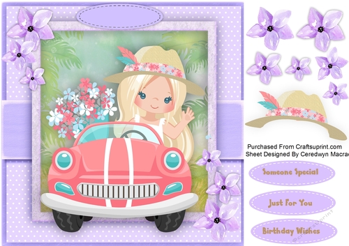 Little Driver Girl 