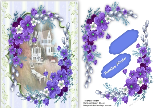 Beautiful Royal Blue  Flowers 