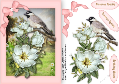 Beautiful Bird on a Branch