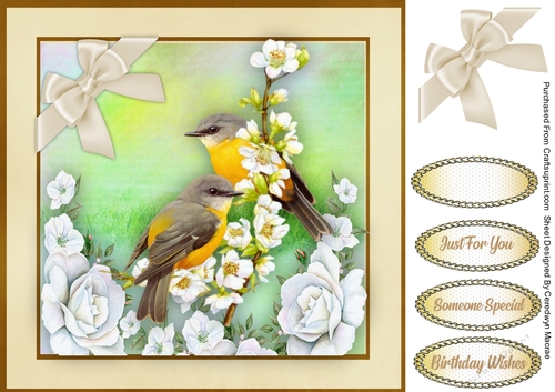 Beautiful Yellow Finch on Blossom