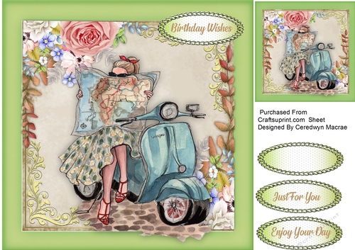  The Vespa Traveller 