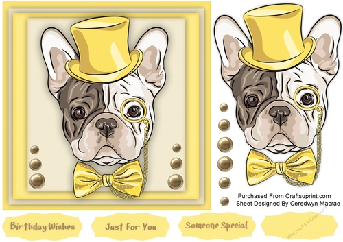 Bulldog in top hat with Bow 