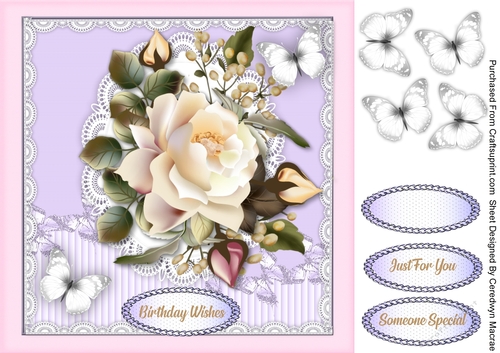 Cream Roses and White Butterflys 