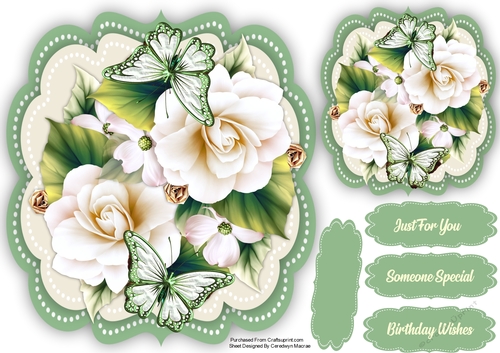 Beautiful magnolias and Butterflys