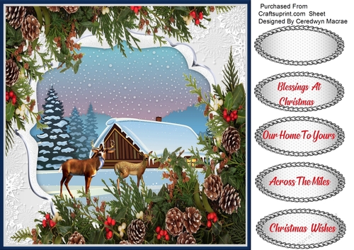 Beautiful Christmas Scene 