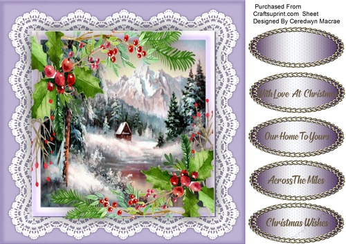 Winters Cabin and Holly 1