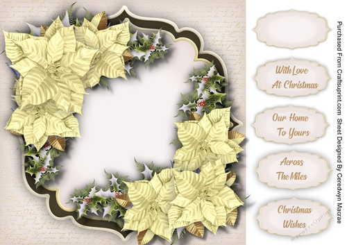 Beautiful Cream Christmas Poinsettias