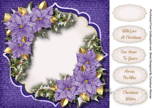 Beautiful lilac Christmas Poinsettias