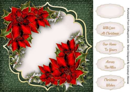 Beautiful Red Christmas Poinsettias
