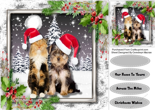 Christmas Furry Friends 1