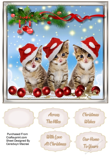 3 Little Furry Friends  ,2