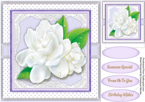 Stunning White Magnolias