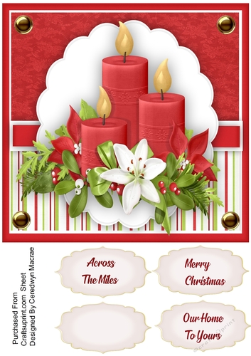 Candles and Christmas Roses