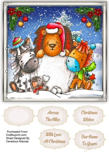 Animal Snow Play