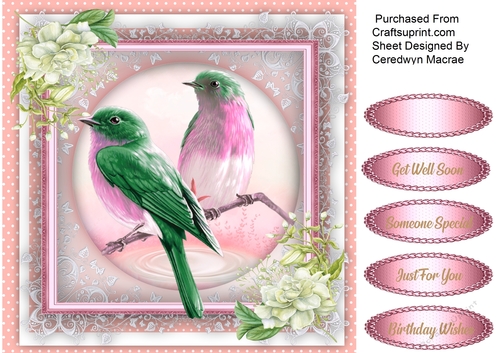 Beautiful Bird on Lace 2