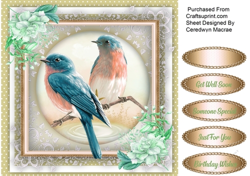 Beautiful Bird on Lace 3
