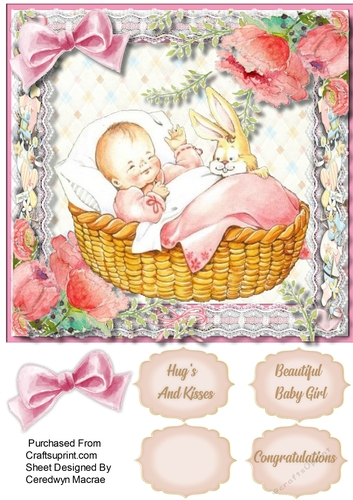 A Beautiful Baby Girl 