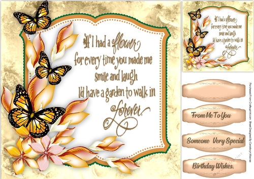 Beautiful Butterflys and Verse