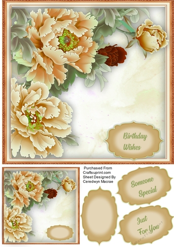 Beautiful Cream Peonys