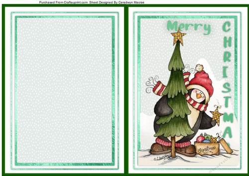 A5, Cut and Fold Card  2