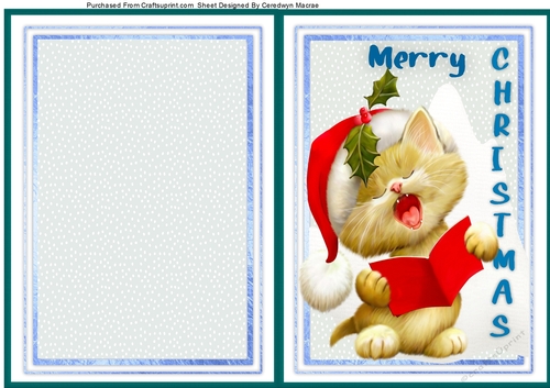 A5, Cut and Fold Card  3